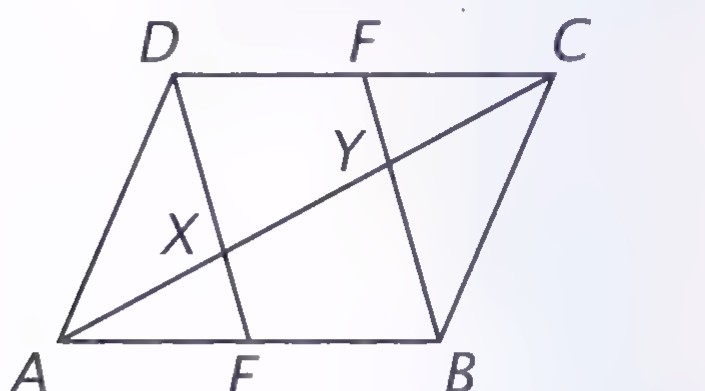 Parallelogram ABCD with midpoints E of AB and F of DC; DE and BF intersect the diagonal AC at X and Y.
