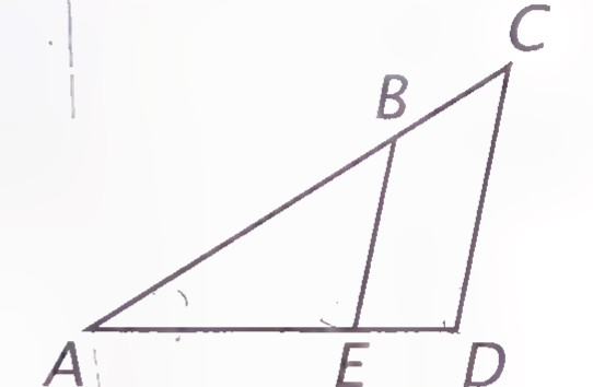 Triangle ACD with B on AC, E on AD, and BE drawn parallel to CD.