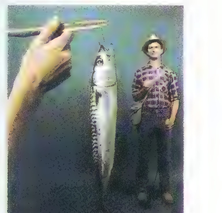 Photograph of a hand holding up a fish in front of a fisherman standing some distance away.