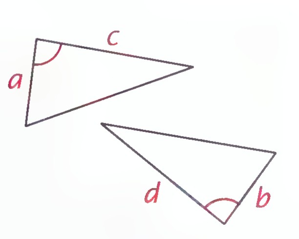 Two triangles with sides labeled a, b, c, and d and corresponding angles marked equal.