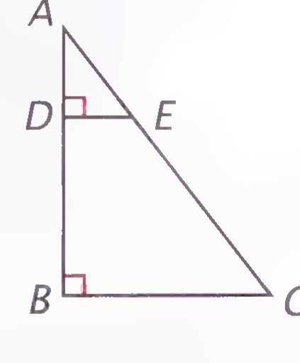 Right triangle ABC with D on AB, E on AC, DE drawn, and right angles marked at D and B.