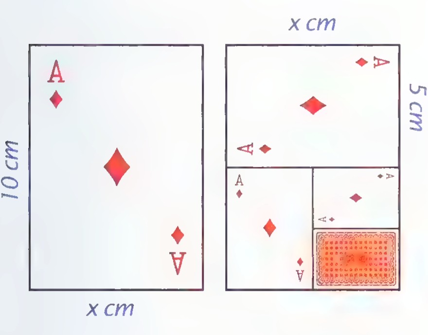 The front and back of a trick playing card: at the left a full card 10 cm by x cm with an ace of diamonds; at the right the card folded into four panels, with the folded size 5 cm by x cm.