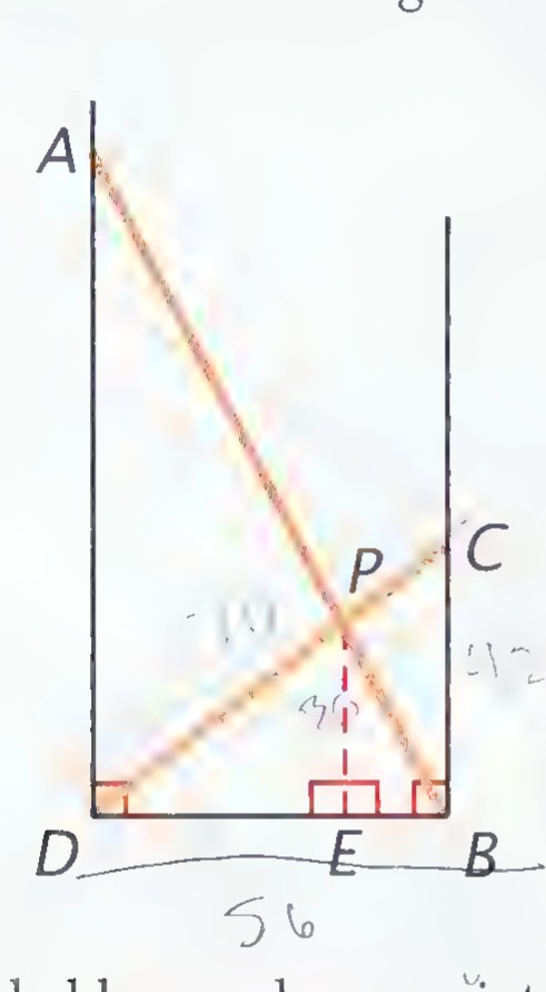 Two ladders crossing between two vertical buildings: ladder AB from the ground at B to the top of the left building at A, and ladder CD from the ground at D to the right building at C; the crossing point is P, with PE perpendicular to the ground.