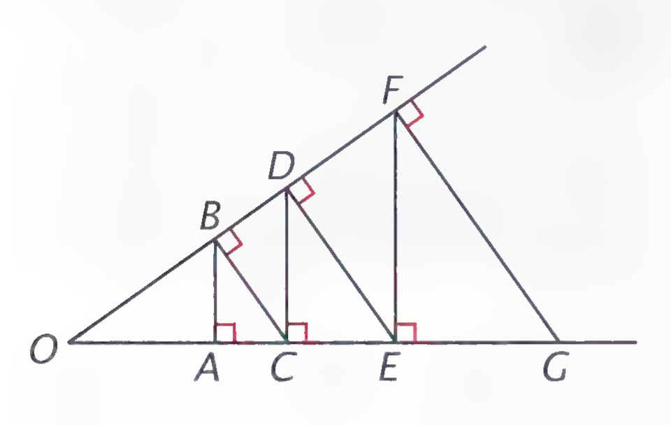 A zigzag of segments AB, BC, CD, DE, EF, and FG spanning angle O, with each segment alternately perpendicular to one side of the angle.