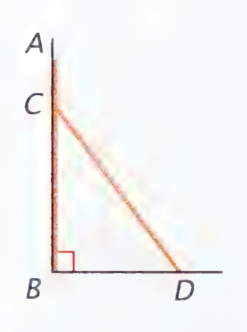 A vertical pole AB against a wall, with its final position CD sloping down to the ground at D, and the distance BD marked.