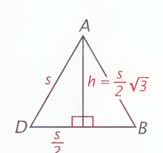 Equilateral triangle ABD with altitude drawn to base DB, the side labeled s, the altitude labeled h = (s/2)√3, and half the base labeled s/2.