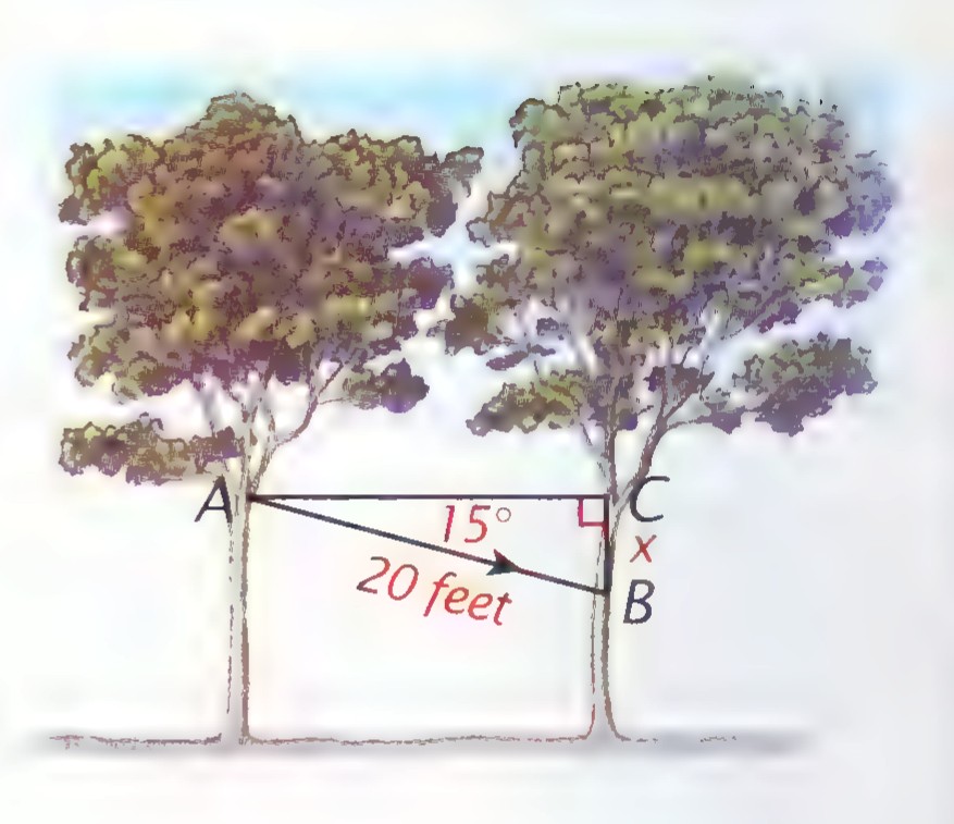 Drawing of two trees with a squirrel gliding from the top of the left tree to a lower branch of the right one; the horizontal distance is labeled 20 feet, the vertical drop x, and the angle of the glide 15°.