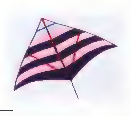 Photograph of a large arch-shaped kite with black and pink stripes flying against a clear sky.