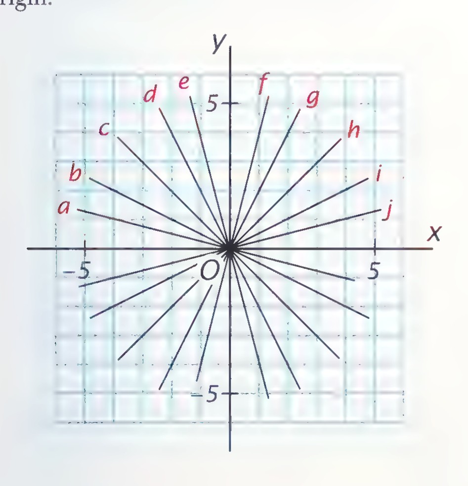 Coordinate plane with many lines through the origin labeled a through j and with the axes marked from −5 to 5.