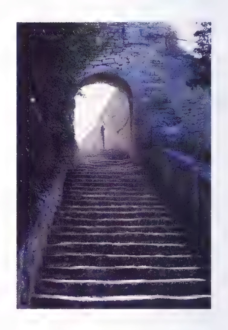 Photograph looking up a steep narrow stone staircase inside a passage, with light coming through an arched doorway at the top.