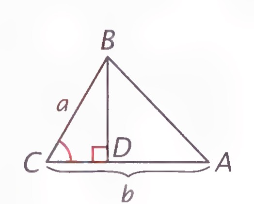 Triangle ABC with altitude BD drawn to side AC, the right angle marked at D, and the sides a and b labeled.