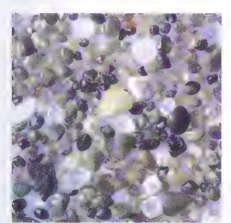 Micrograph of many roughly rounded sand grains in shades of gray, white, and pale green.