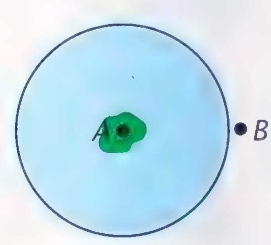 Circular blue lake seen from above with a small green island at its center labeled A, and a point B on the shore at the right.