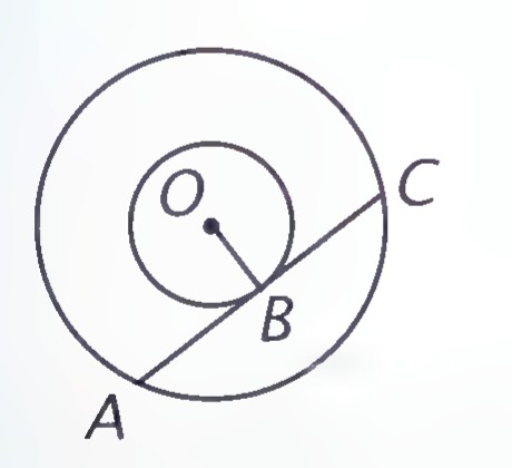 Two concentric circles with center O, a radius OB drawn to the inner circle, and a chord AC of the larger circle passing through B.
