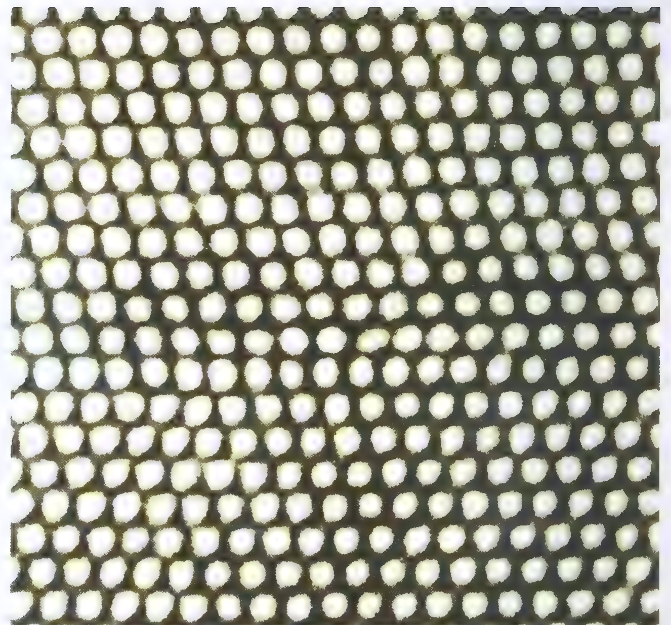 Electron micrograph of a gold film, showing rows of individual atoms as pale dots in a dark field.