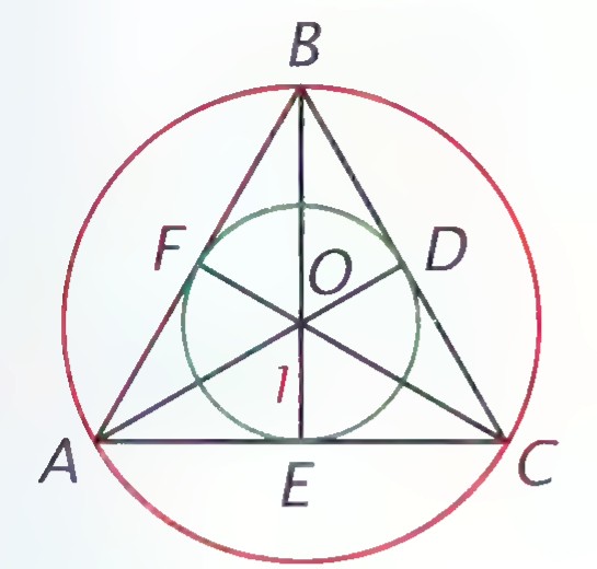 Equilateral triangle ABC with its incircle and circumcircle sharing center O; altitudes AD, BE, and CF are drawn and angle 1 is marked.