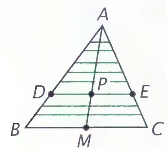 Triangle ABC with median AM, point P on AM, and segment DE through P parallel to BC; a series of parallel segments between DE and BC are drawn in green.