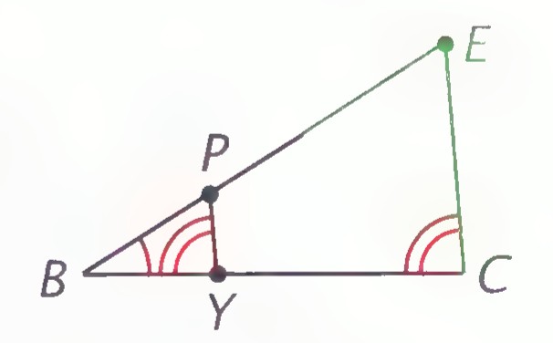 Triangle BCE with point P on BE and Y on BC, showing △BYP similar to △BCE.