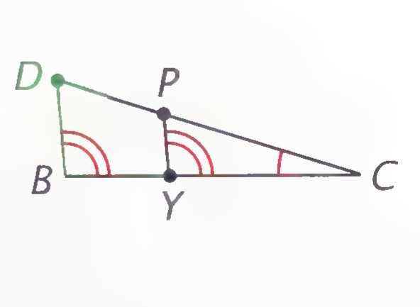 Triangle BCD with point P on CD and Y on BC, showing △BCD similar to △YCP.