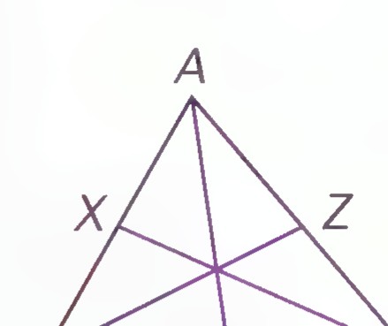 Triangle ABC with medians AY, BZ, and CX meeting at a point.