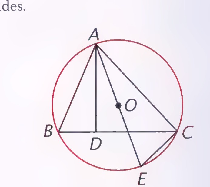 Triangle ABC inscribed in circle O, with altitude AD and chord AE drawn; the center O lies on AE.