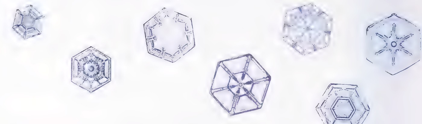 Six photographs of snowflakes on a white background, each showing six-fold symmetry.