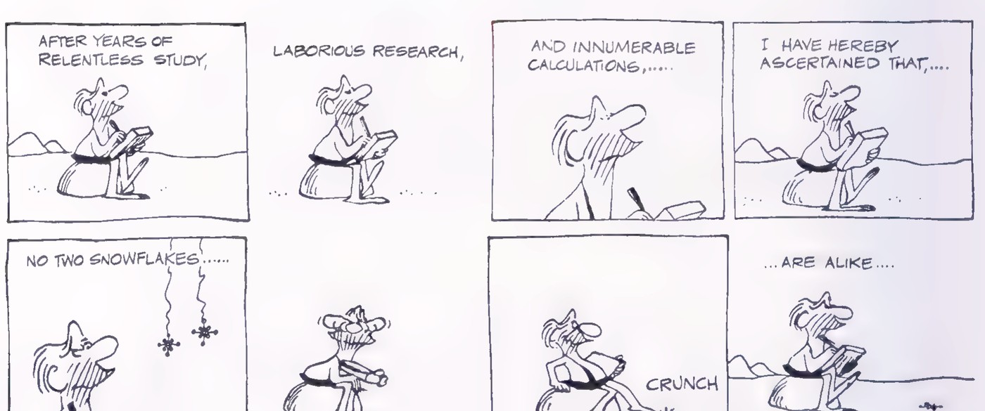 A five-panel B.C. cartoon in which a caveman, after years of study and calculation, concludes that no two snowflakes are alike—then steps on one with a crunch.