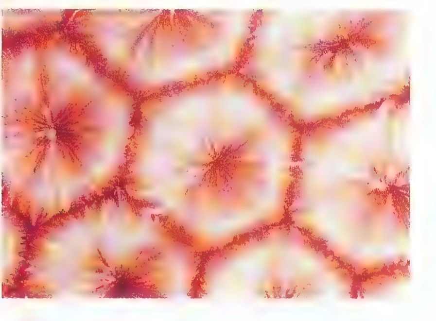 A convection cell pattern of red star-like centers joined by bright boundaries, forming irregular polygons.