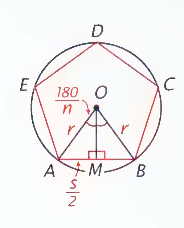A regular pentagon ABCDE inscribed in a circle with center O; radius r, apothem OM to side AB, half-side s/2, and the central half-angle 180/n are marked.