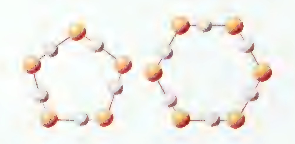 Two ring-shaped molecules of hydrogen fluoride: hydrogen atoms white, fluorine atoms yellow, joined in two different polygonal rings.