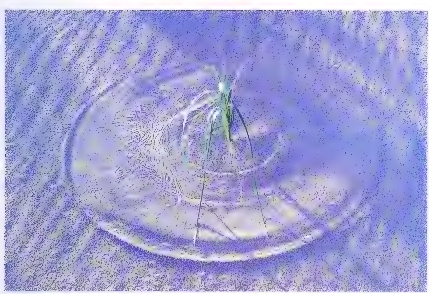 Aerial photograph of a large circle pressed into sand by wind-blown grass at the Great Sable Dunes in Michigan, with faint inner rings and a tuft of grass at the center.