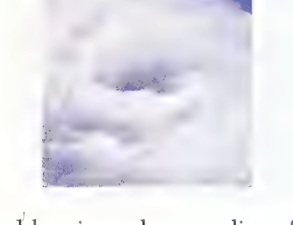 Satellite view of a hurricane: a spiral of white clouds around a small dark, clear eye.