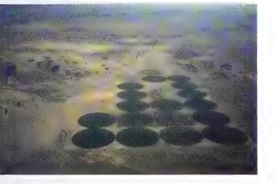 Aerial photograph of center-pivot irrigation: large green circles of watered crops on dry land.