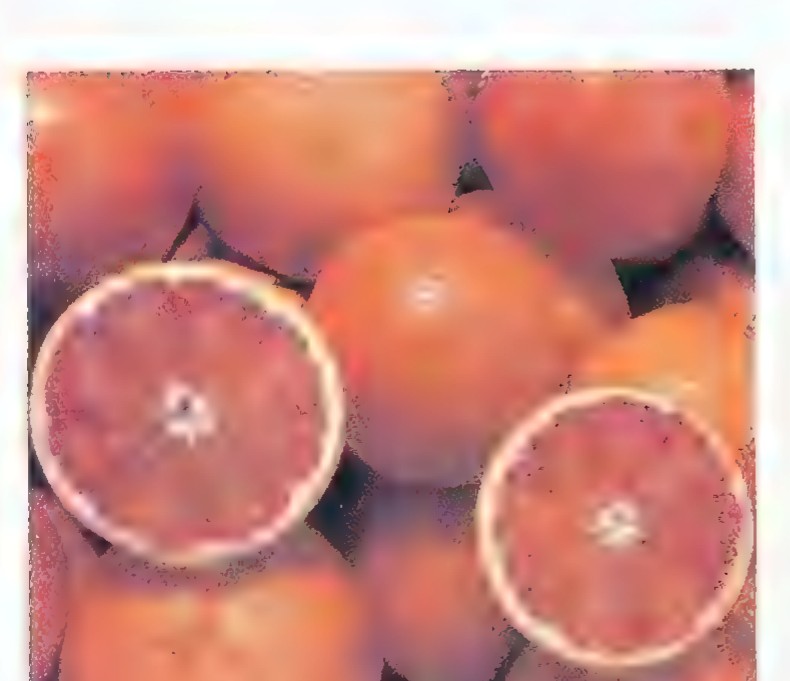 A pile of oranges with two halves face up, each showing eight equal wedge-shaped segments.