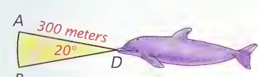 A dolphin swimming to the right, with a yellow 20° sector in front of it labeled 300 meters and bounded by rays DA and DB.