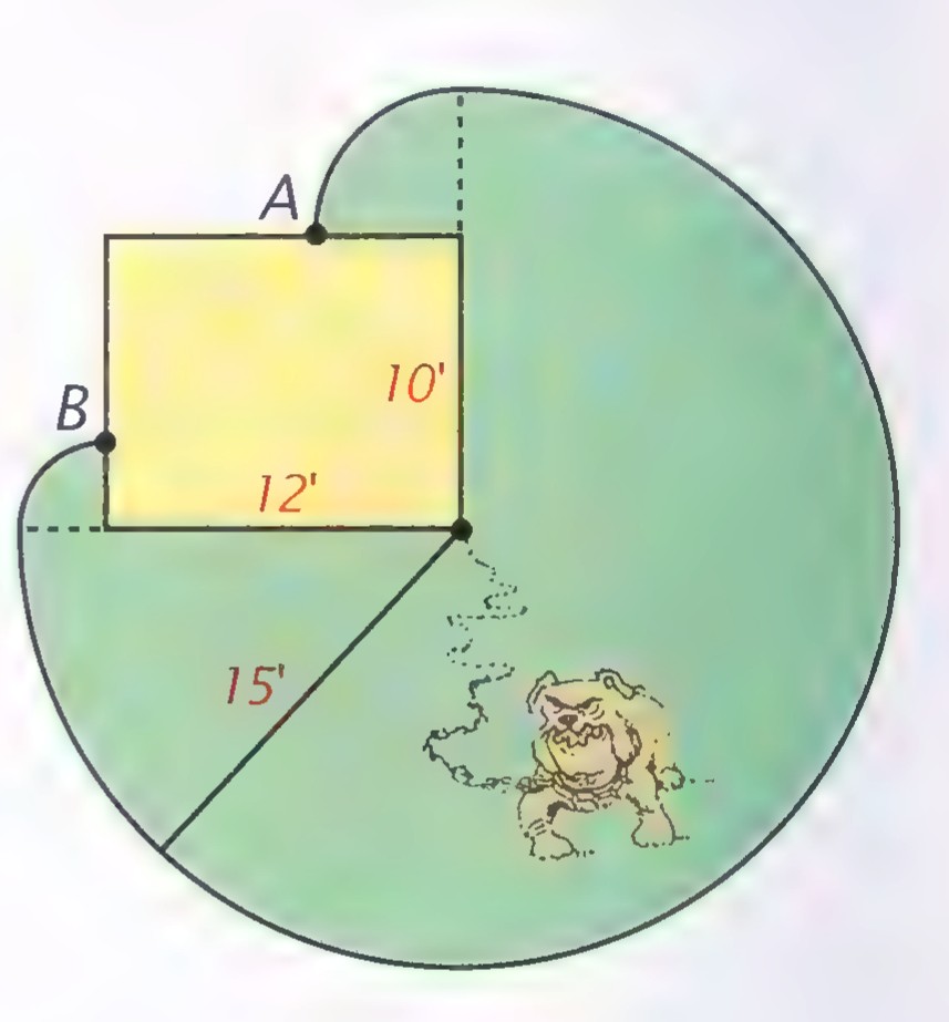 A plan of a 12-by-10-foot shed with a 15-foot rope tied at one corner; the green region shows the dog’s reach around the shed, with the dog at the far corner.