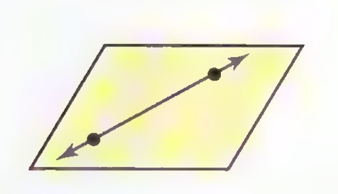 A plane containing two points, with the line through them lying in the plane.