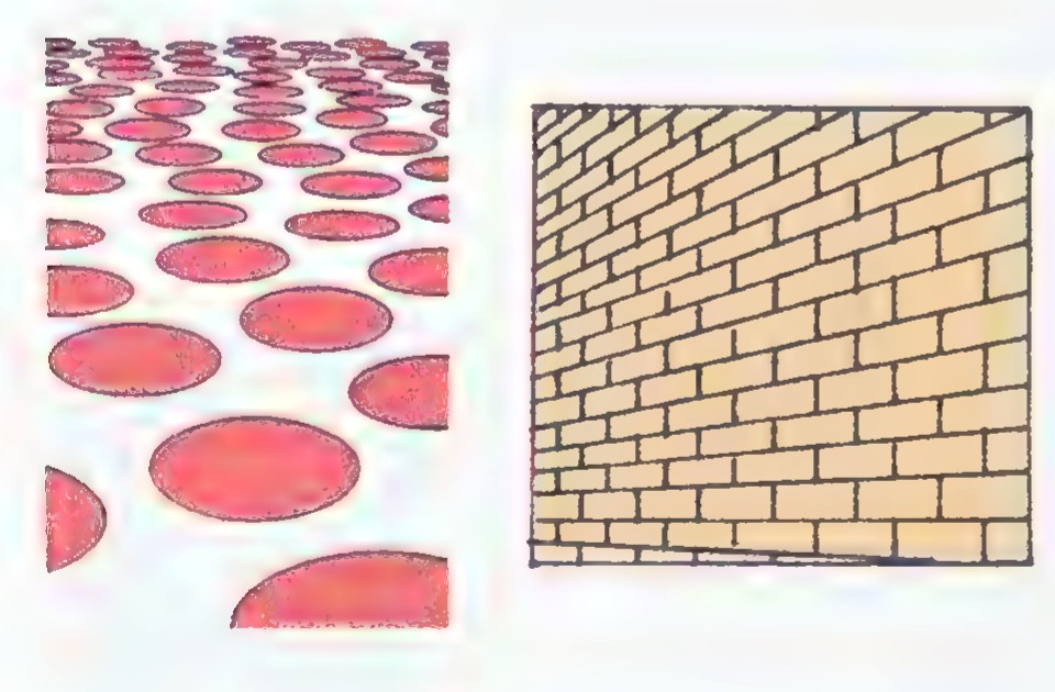 Two photographs side by side: red circles on a white ground that seem to lie on a receding plane, and a brick wall that seems to tilt in space.