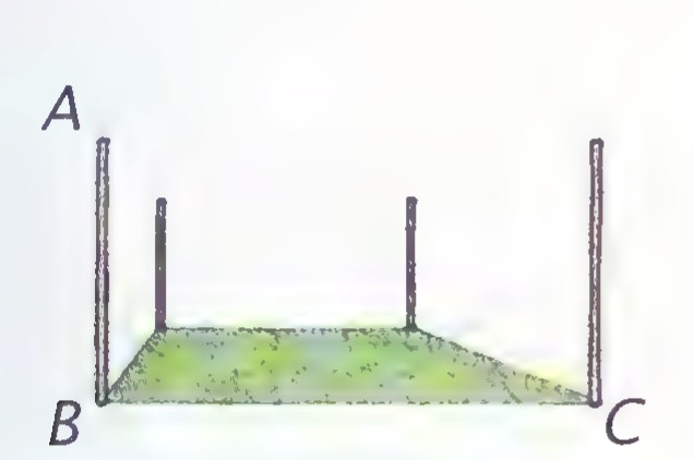 A green floor plane with three vertical posts, labeled A at the top of one post and B and C at the front corners of the floor.