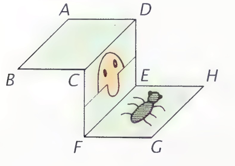 Three planes arranged as two walls and a floor, with a figure looking over one wall and a bug on the floor, labeled A, B, C, D, E, F, G, H.