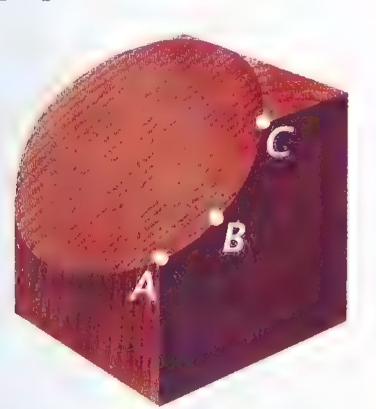 A brown cube with a circular slice cut from one corner, labeled with points A, B, and C on its edges.