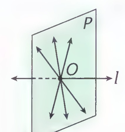 A vertical plane P with three lines in it meeting at point O, and line l perpendicular to the plane at O.