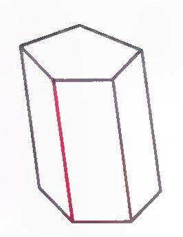 A hexagonal prism with one lateral edge drawn in red.