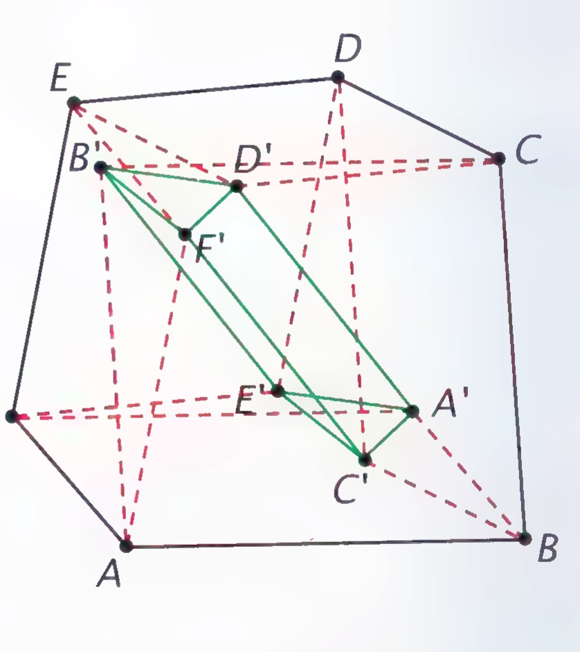 A hexagonal prism ABCDEF with a second hexagon A’B’C’D’E’F’ inside it, connected by dashed red segments and green segments.