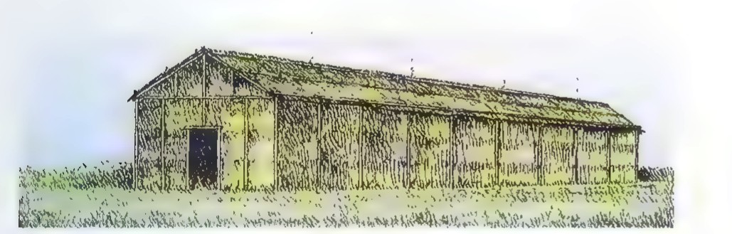 Drawing of an Iroquois long house: a long rectangular building with a rounded roof, a door at one end, and trees in the background.