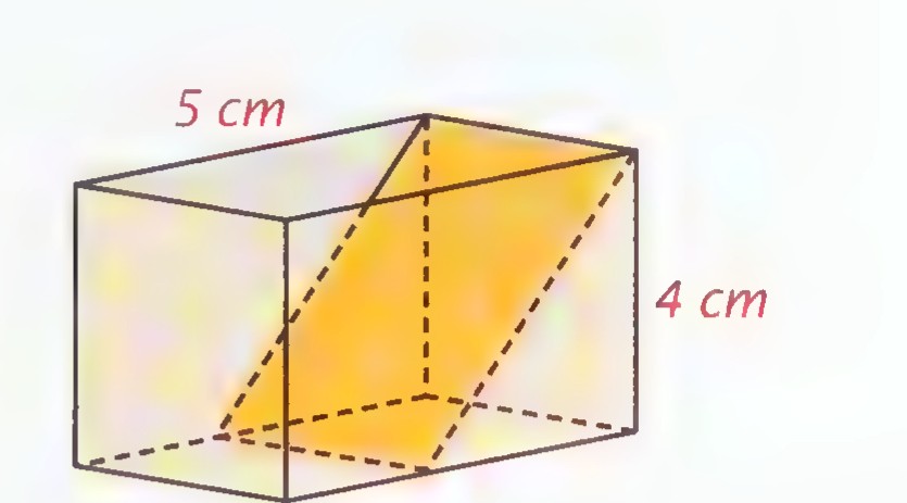 An open box with a flap lid standing inside it, labeled 5 cm and 4 cm.