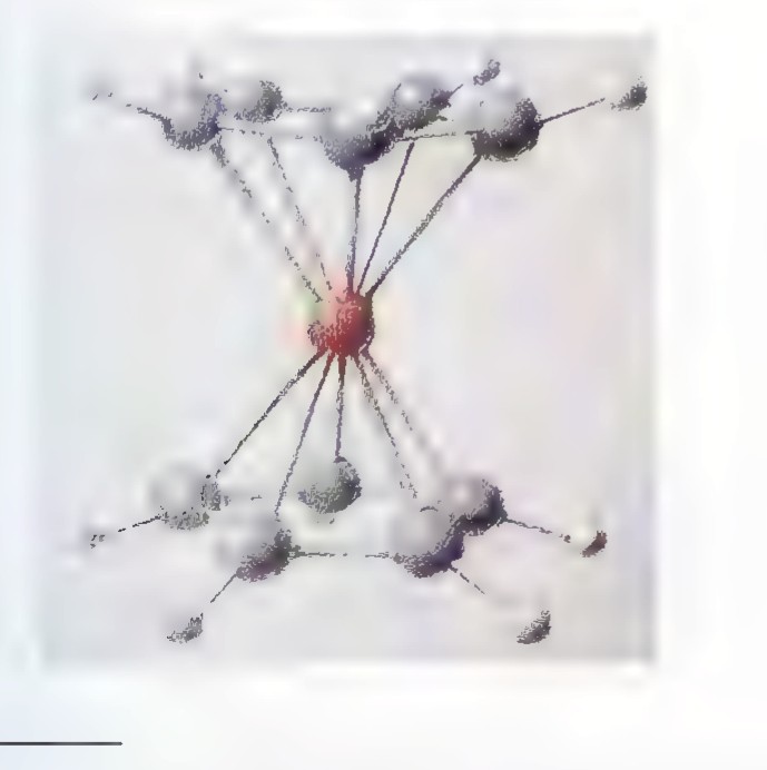 A ball-and-stick model of ferrocene: an iron atom in the center between two parallel rings of carbon atoms, with hydrogen atoms around them.
