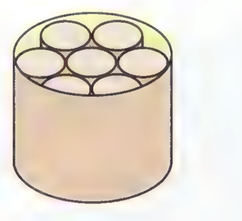 An open can containing seven round sausages, one in the center and six around it.