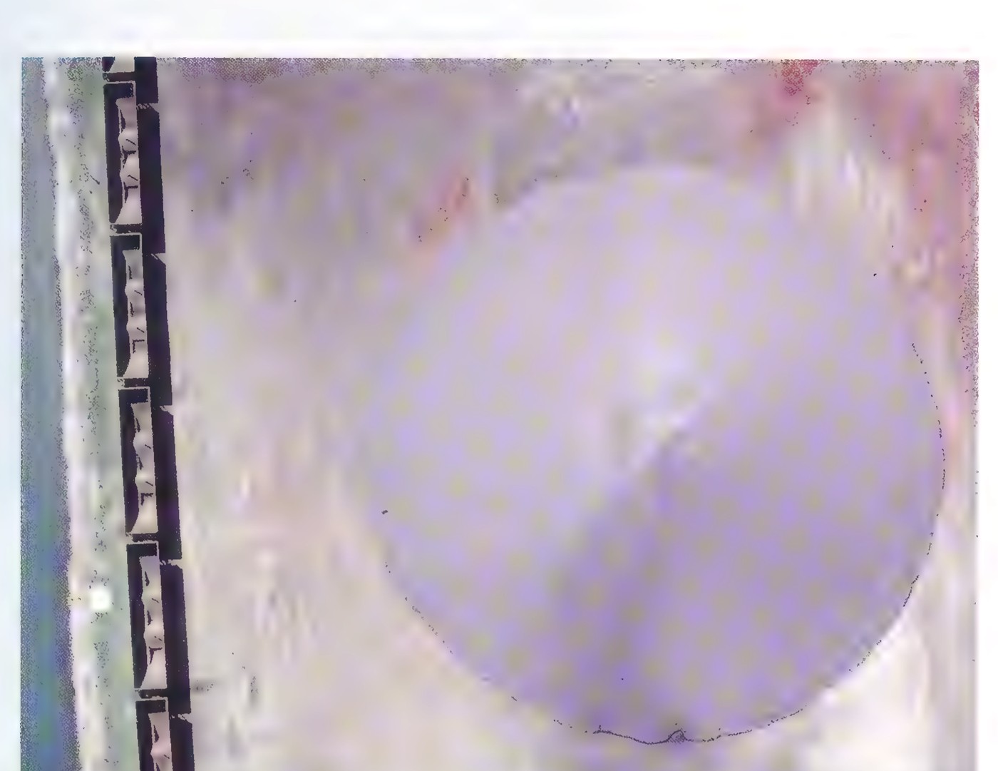 Overhead photograph of a large conical pile of gray-purple iron ore beside a line of train cars.