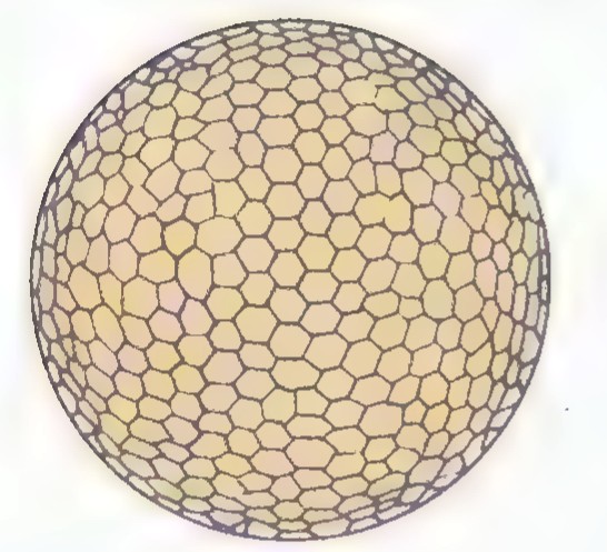 A sphere covered with a fine grid of hexagons.